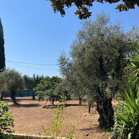 Villa Thyziri Roquefort-les-Pins Buitenkant foto