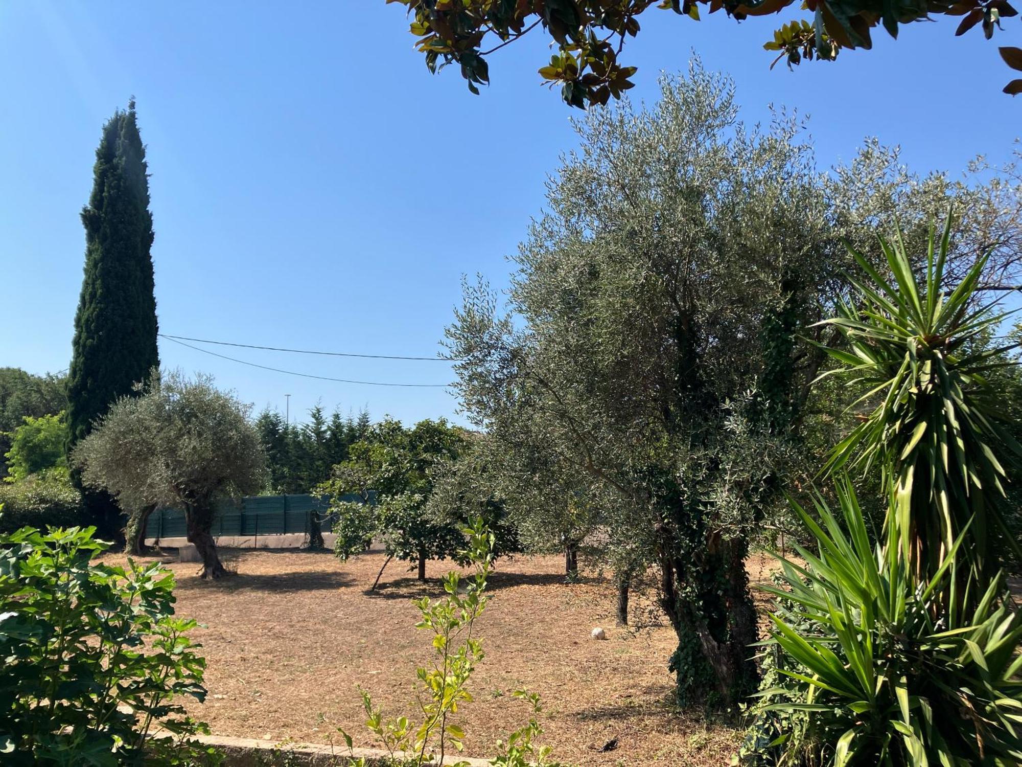 Villa Thyziri Roquefort-les-Pins Buitenkant foto