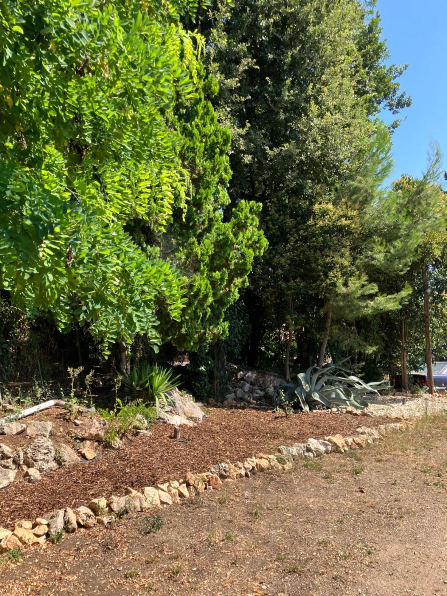 Villa Thyziri Roquefort-les-Pins Buitenkant foto